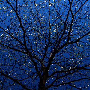 你的好 够我与这坏世界周旋