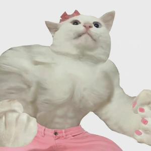 万有引力