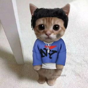 数钱的女孩翻唱