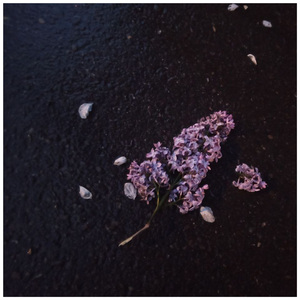 Быстро плывущие облака