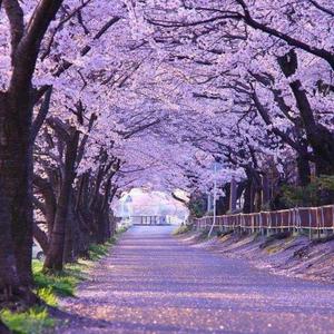 Mentiras (feat. Khelo)