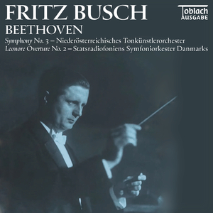 Symphony No. 3 in E-Flat Major, Op. 55 "Eroica" (2024 Remastered Edition):IV. Finale. Allegro molto