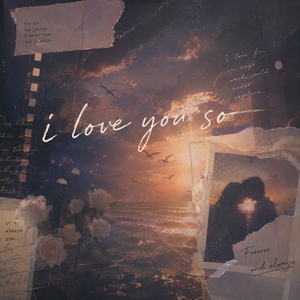 i love you so（爱你在心口难开）