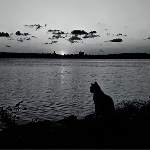 安和橋（說唱版）