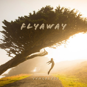 Flyaway