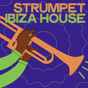 Why (Deep Elements Mix)