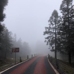 遇见(cover孙燕姿）