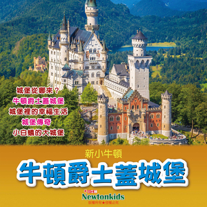 小白蚁的大城堡