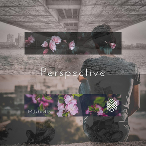 Perspective