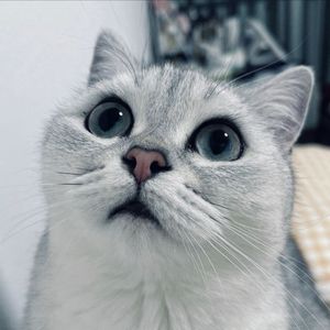 我有一双爱哭的眼睛求你别总让我哭.