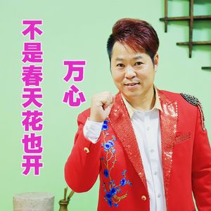 不是春天花也开 DJ版