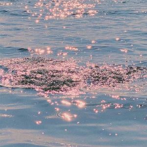 逸杰 伴奏