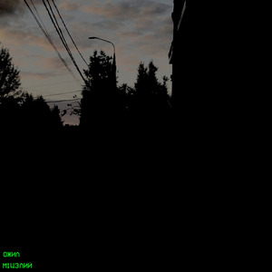 Все электрические птички