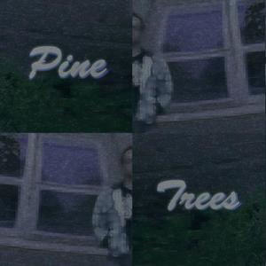 Pine Trees
