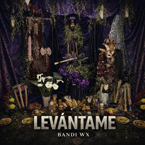 Levantame (San Lazaro)