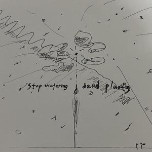 Kazula's bewitchment