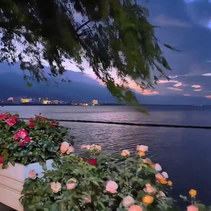 爱如阵风的错觉