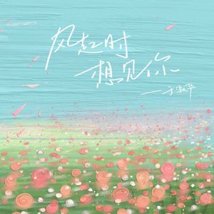风起时想见你
