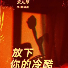放下你的冷酷 (DJ默涵版)