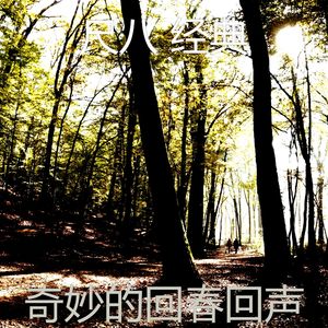 安静的瑜珈声音