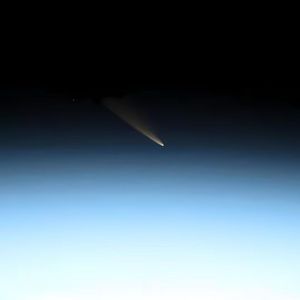 梦到哪句说哪句