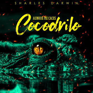 Aunque Me Cases Cocodrilo