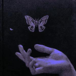 莫妮卡（翻自 柳爽）