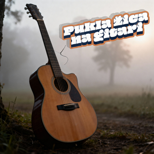 Pukla Žica Na Gitari