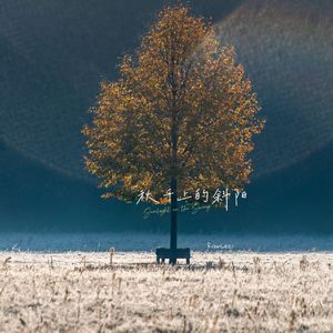 秋千上的斜阳（Sunlight on the Swing）