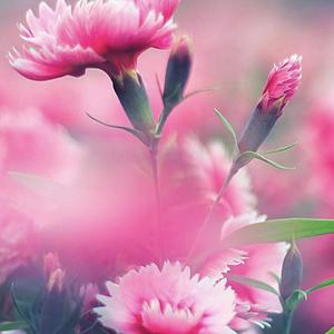 5.10(prod by kayzee)