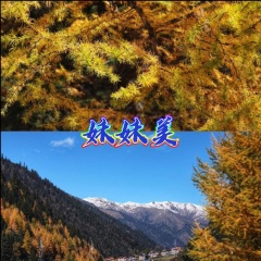 七滴相思泪 (行舟版)