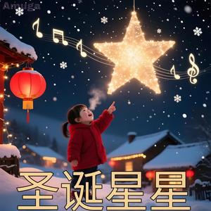 圣诞星星