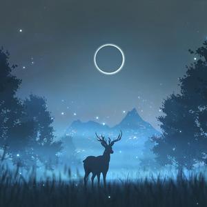 漫步在岁月洪流（cover KasaYAYA）