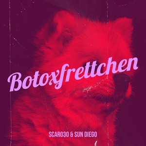 Botoxfrettchen