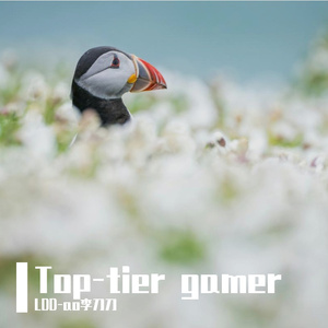 Top-tier gamer