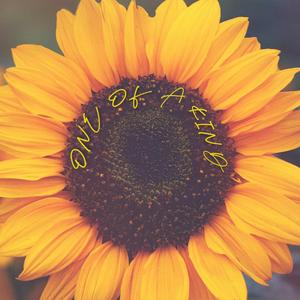 One of a Kind (feat. Love Tori)