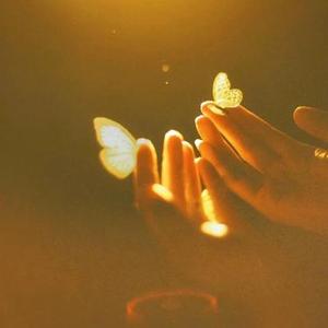 不如见一面2026 (Cover 海来阿木)