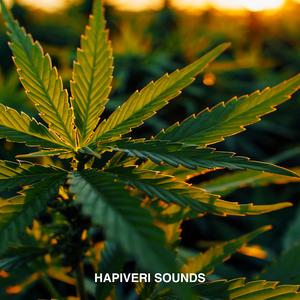 Notes We Never Played