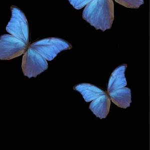 四季予你（翻唱版）