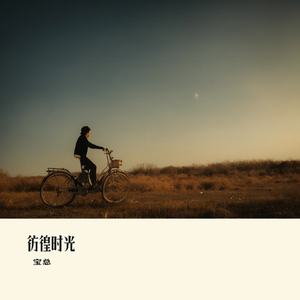彷徨时光
