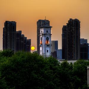 Fly In Summer Breeze