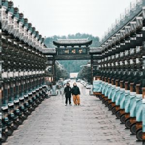 步步（牛肉膏蛋白胨翻唱demo）