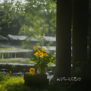 我没有一天不想你