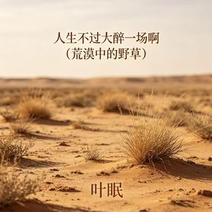 人生不过大醉一场啊（荒漠中的野草）