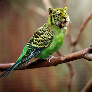 Es macht mich verrückt!