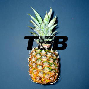 Teb