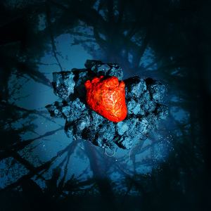 Я чувствую лёд