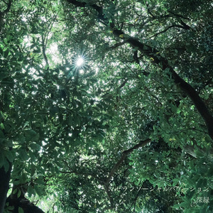 マイヒーロー。