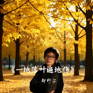 一地落叶遍地伤