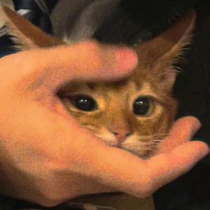 "圣诞"|[FREE] M!$terK x Pluggnb Type Beat-long story